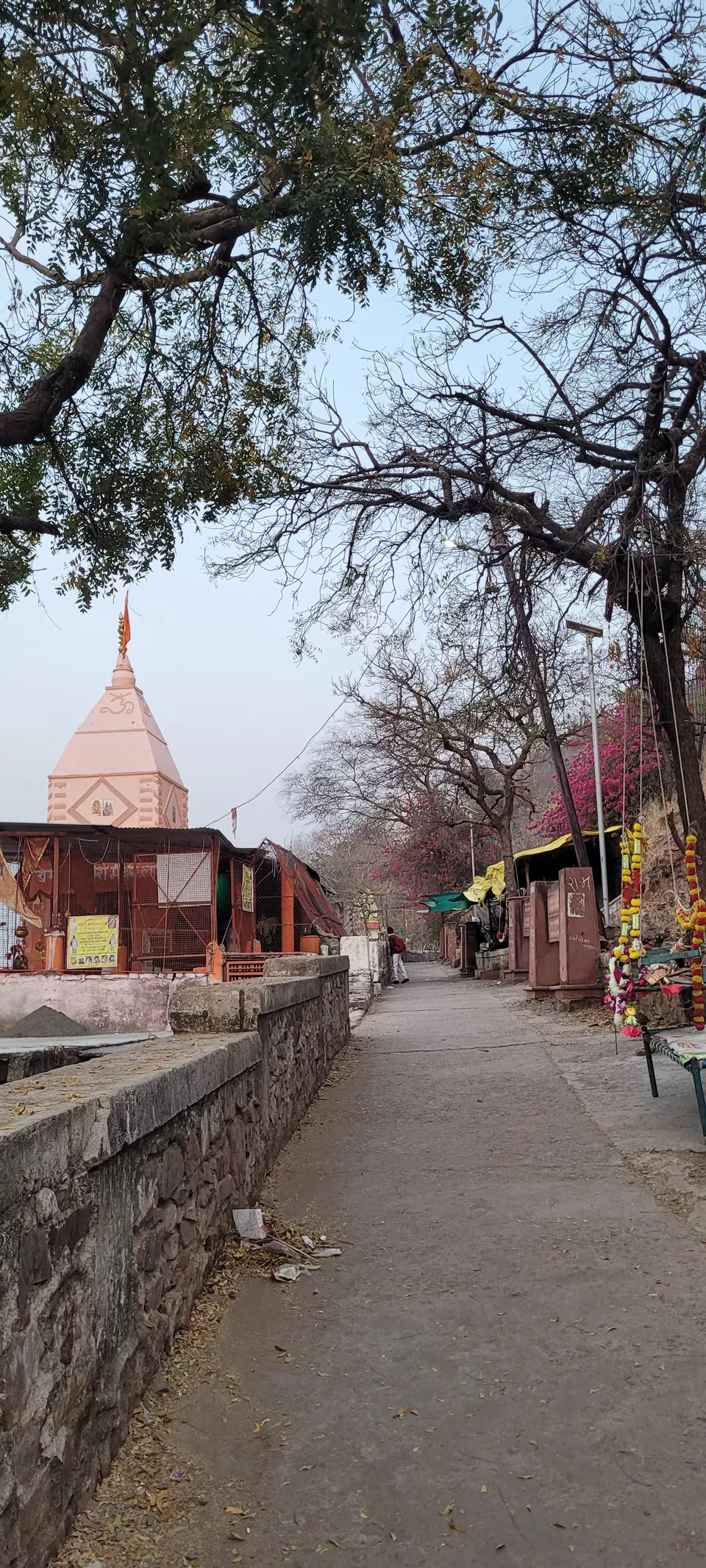 Photo of Omkareshwar & Mamleshwar - One of the 12 Jyotirlingas of Lord Shiva by Nisha Jagadesh