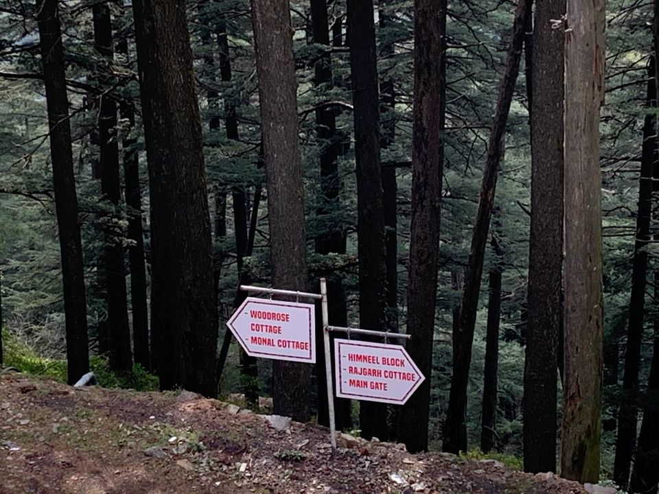 Photo of Chail and Morni- A planned yet un-planned weekend trip! by Abhishek Tyagi
