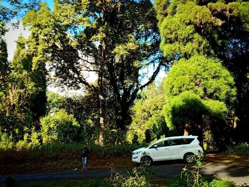 Photo of Dowhill Road, Kurseong by Bima Choudhury