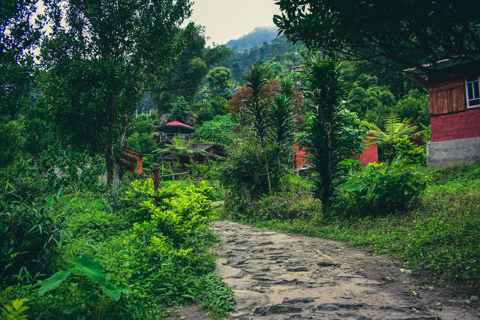 Photo of Sikkim-The gem of North East India by Shameek Mukhopadhyay