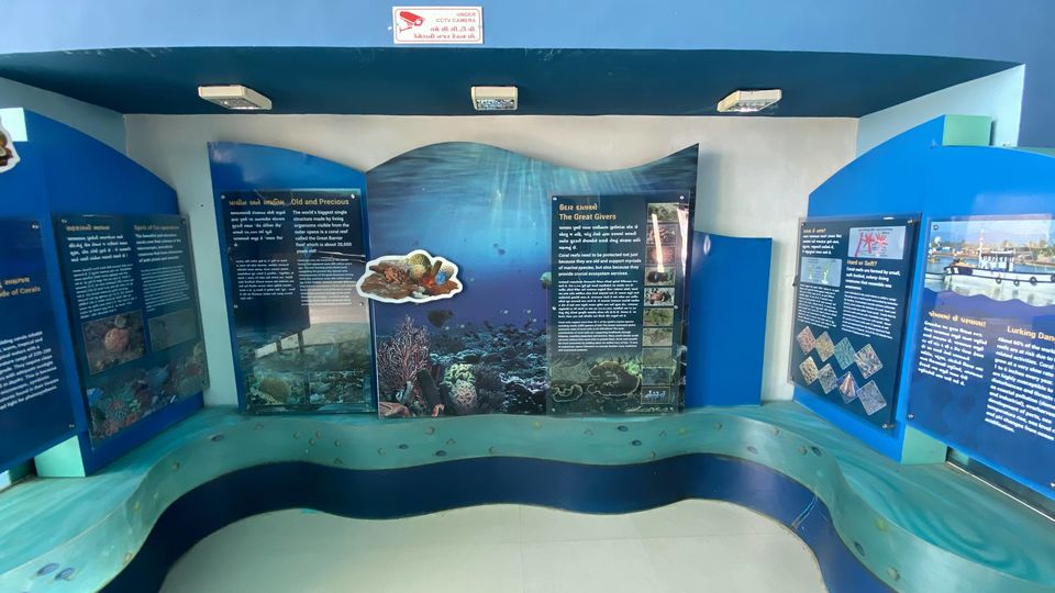 Photo of Narara - The Exposed Reef by D@₹¶a|\|
