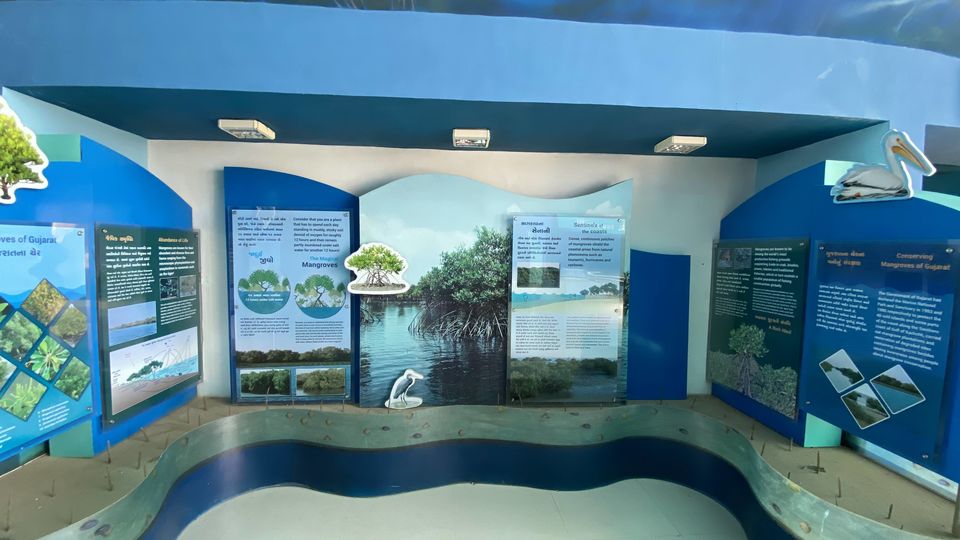 Photo of Narara - The Exposed Reef by D@₹¶a|\|