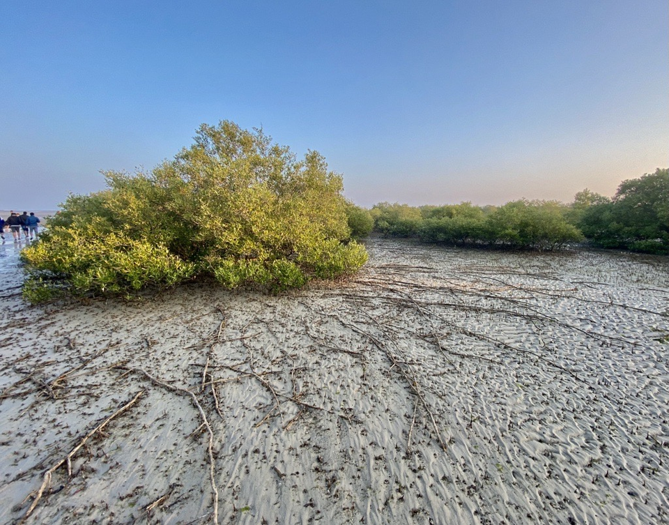 Photo of Narara - The Exposed Reef by D@₹¶a|\|