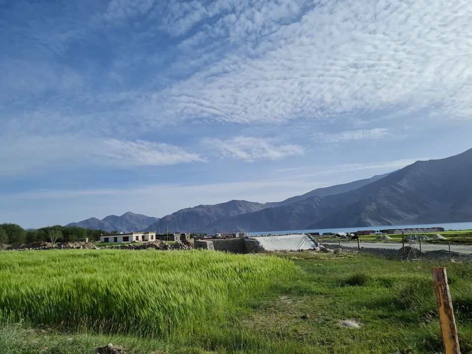 Photo of Pangong Lake Road, Merak by The Rooted Nomads (Ria Chaudhury)
