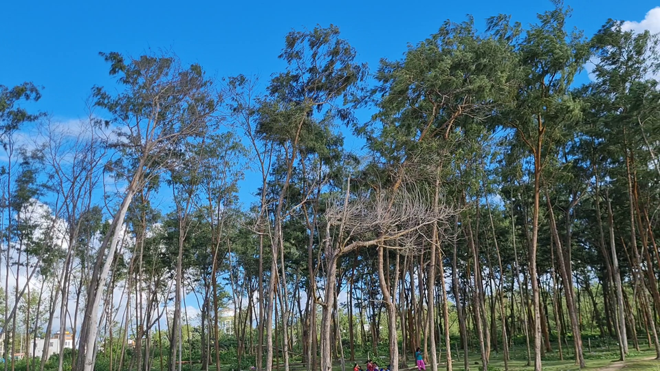 Photo of Here Is All You Need To Know for your Diwali Weekend Trip to the Beach Town of Bengal - Digha by The Rooted Nomads (Ria Chaudhury)