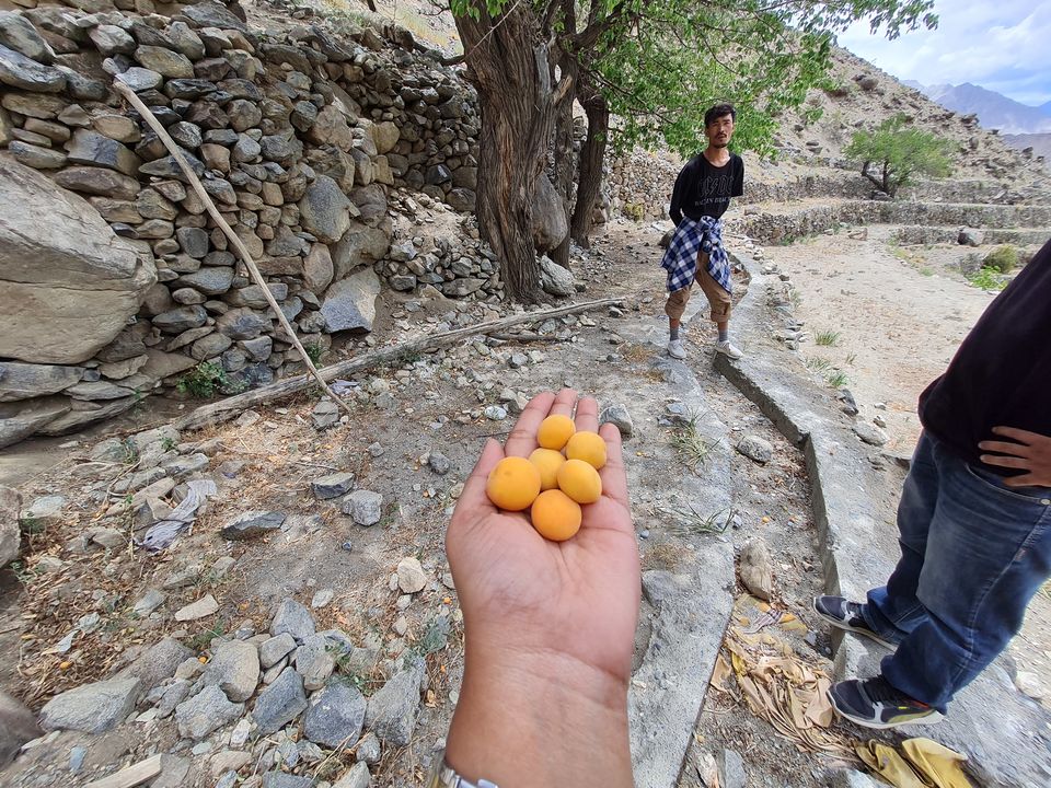 Photo of I Explored This Hidden Gem Near Kargil That Had Witnessed the Indo-Pak War of 1971 by The Rooted Nomads (Ria Chaudhury)