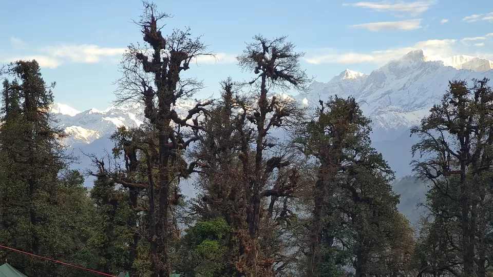 Photo of The Meadows Chopta, Chopta by The Rooted Nomads (Ria Chaudhury)