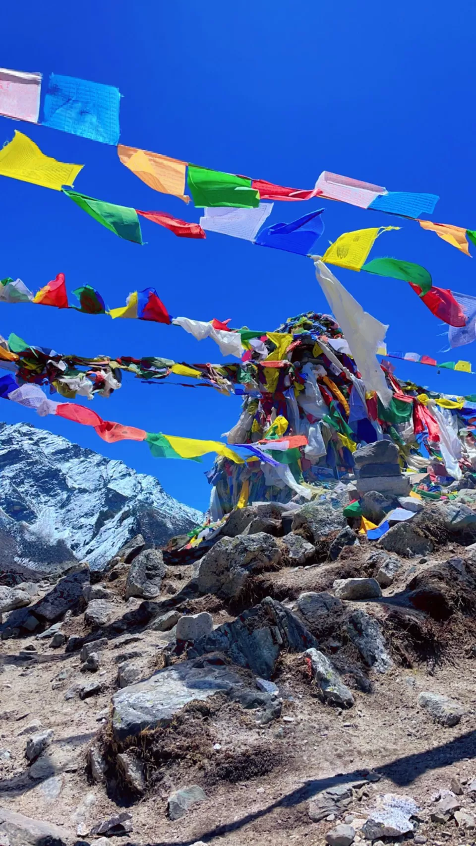 Photo of From Dreams to Reality: Conquering Everest Base Camp - A Magical Journey of Imagination and Wonder by Sapna Dhiman