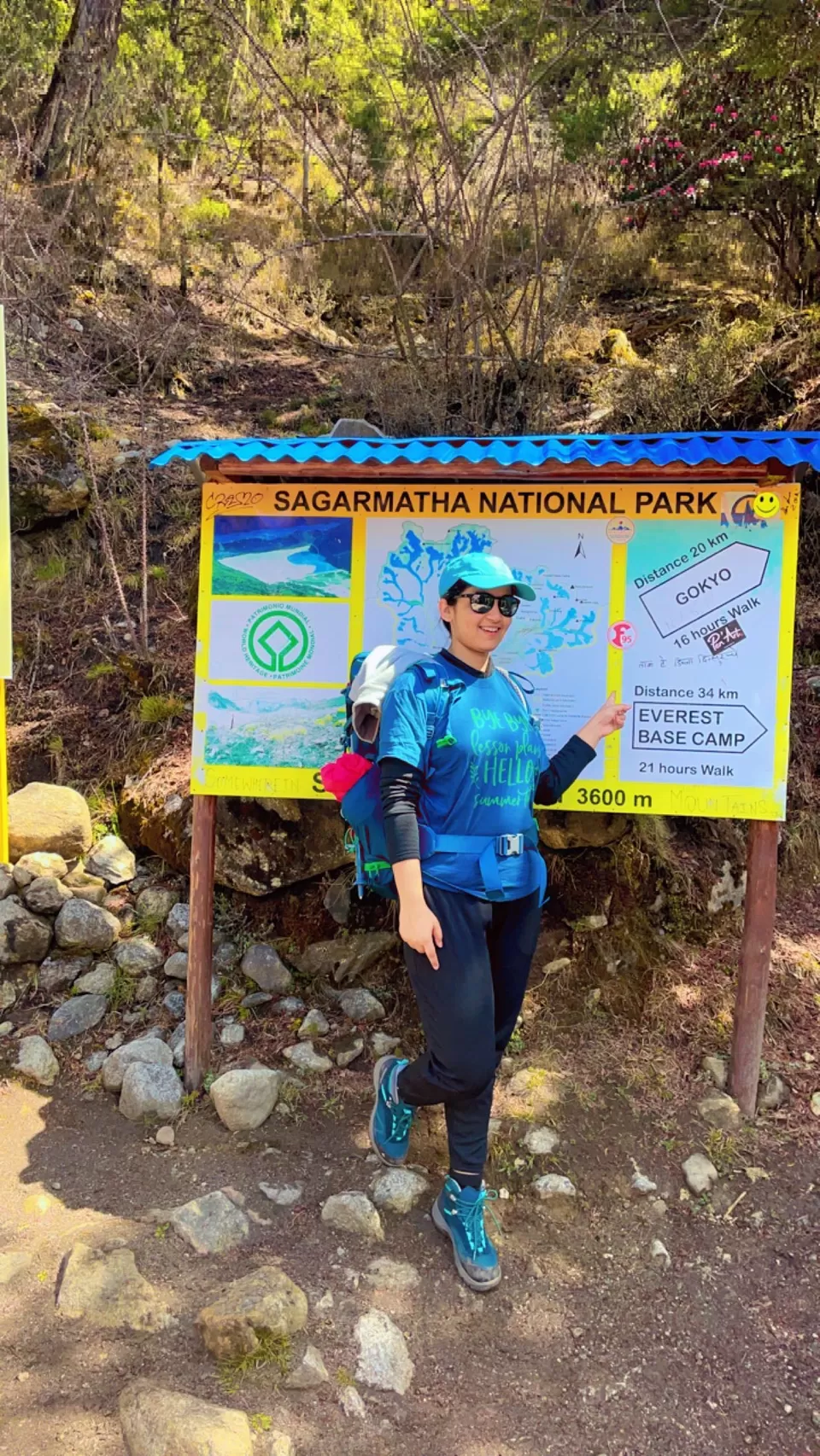 Photo of From Dreams to Reality: Conquering Everest Base Camp - A Magical Journey of Imagination and Wonder by Sapna Dhiman