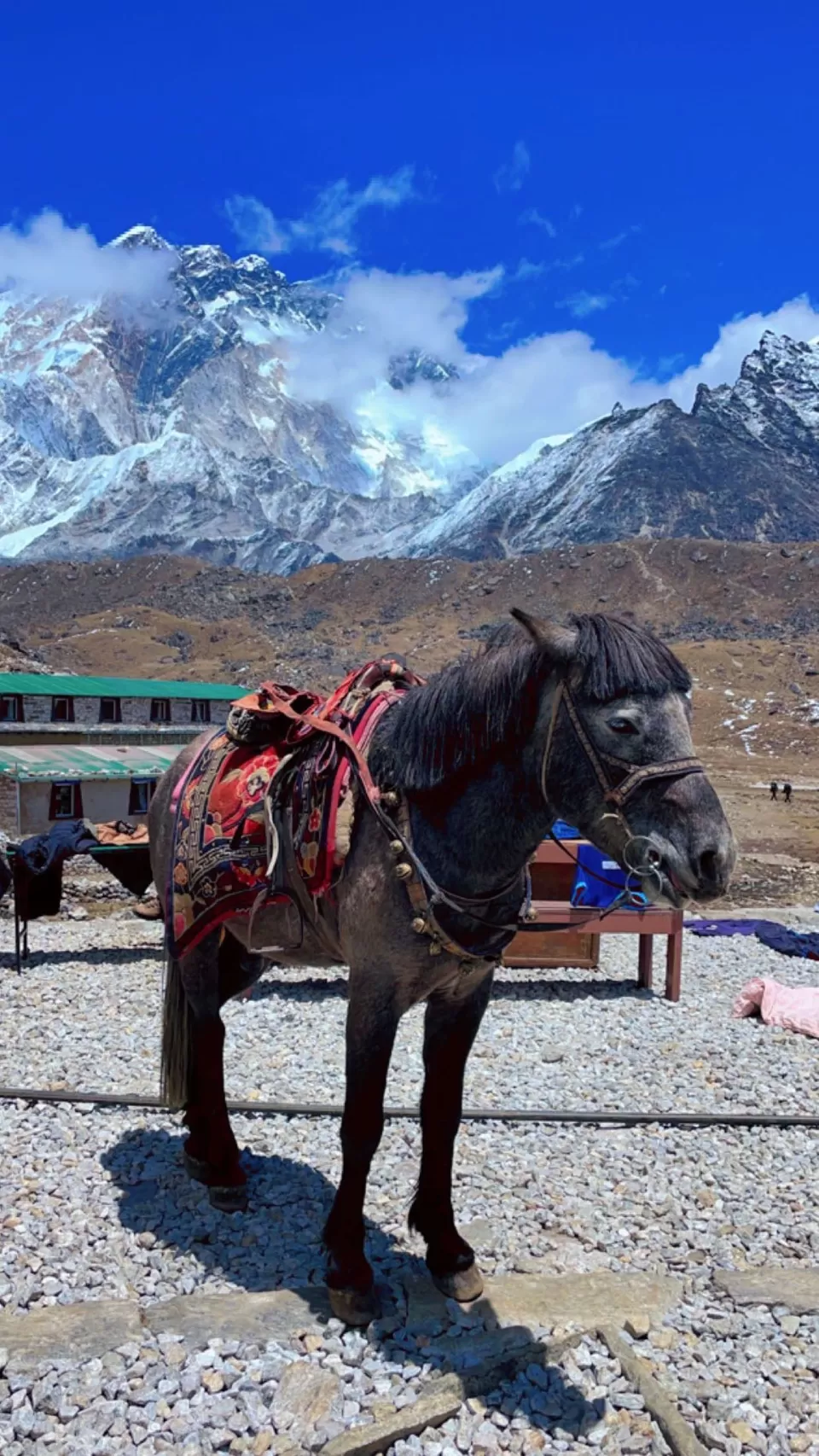 Photo of From Dreams to Reality: Conquering Everest Base Camp - A Magical Journey of Imagination and Wonder by Sapna Dhiman
