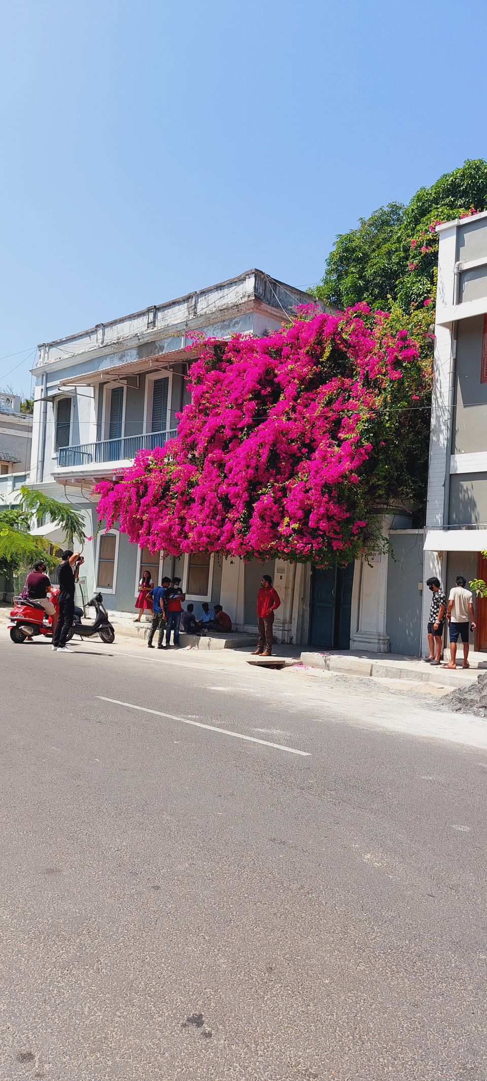 Photo of First solo trip to #Pondicherry- 4days of work vacation #summertrips by Apeksha Mahto
