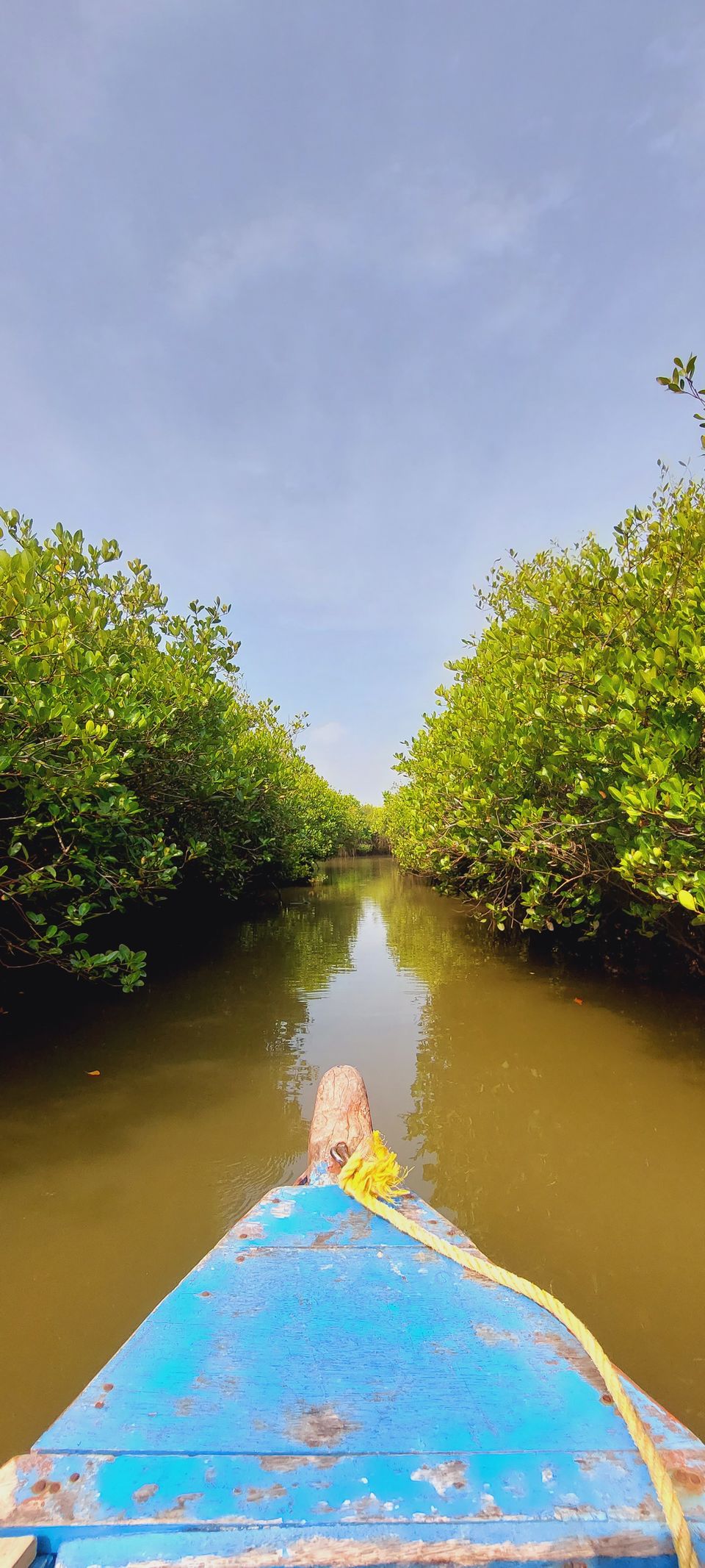 Photo of Journey to second largest mangrove forest and Chidambaram from #Pondicherry #summertrips #2022 by Apeksha Mahto