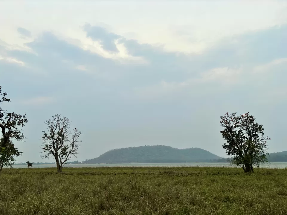 Photo of Nagzira- A must Visit Sanctuary in Maharashtra! by Ankita Mukherji