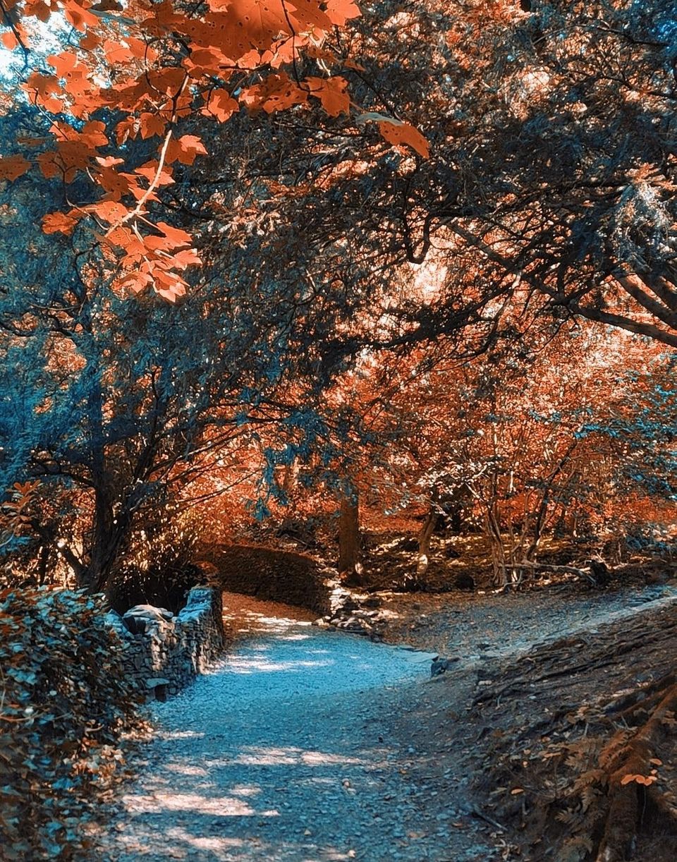 Photo of Stroll through Lake District- William Wordsworth's Land by Story of seasons