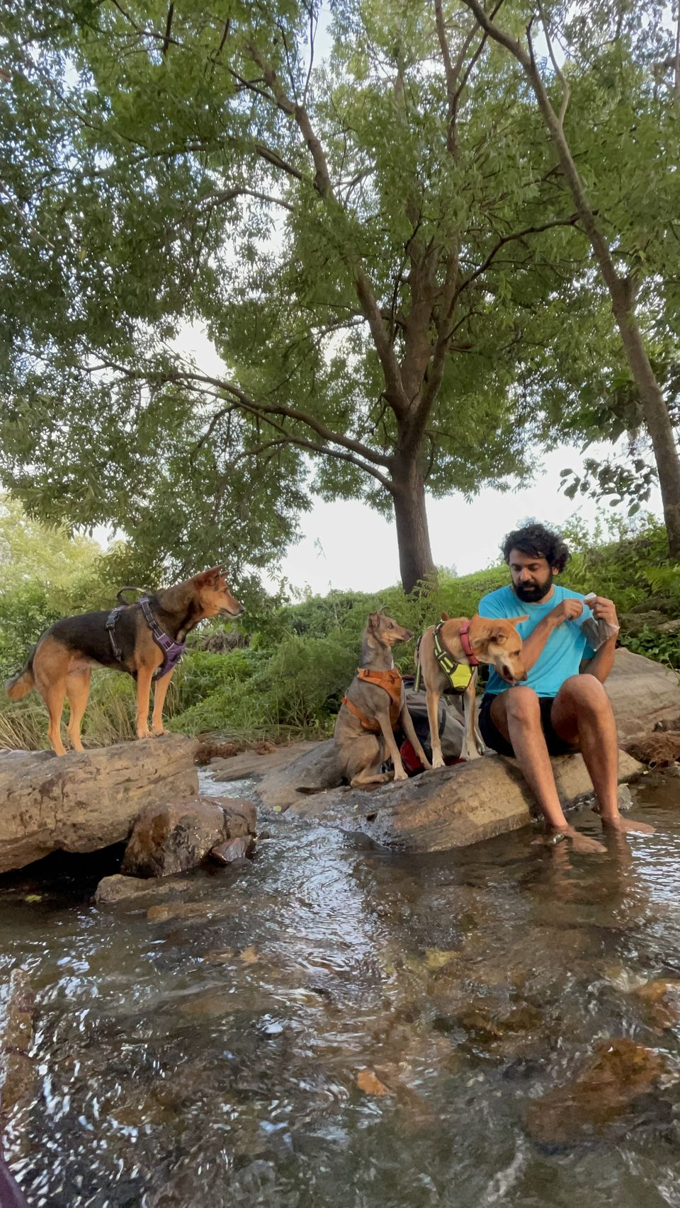 Photo of To babymoon and Bangalore weekend getaway by Shubham Shukla