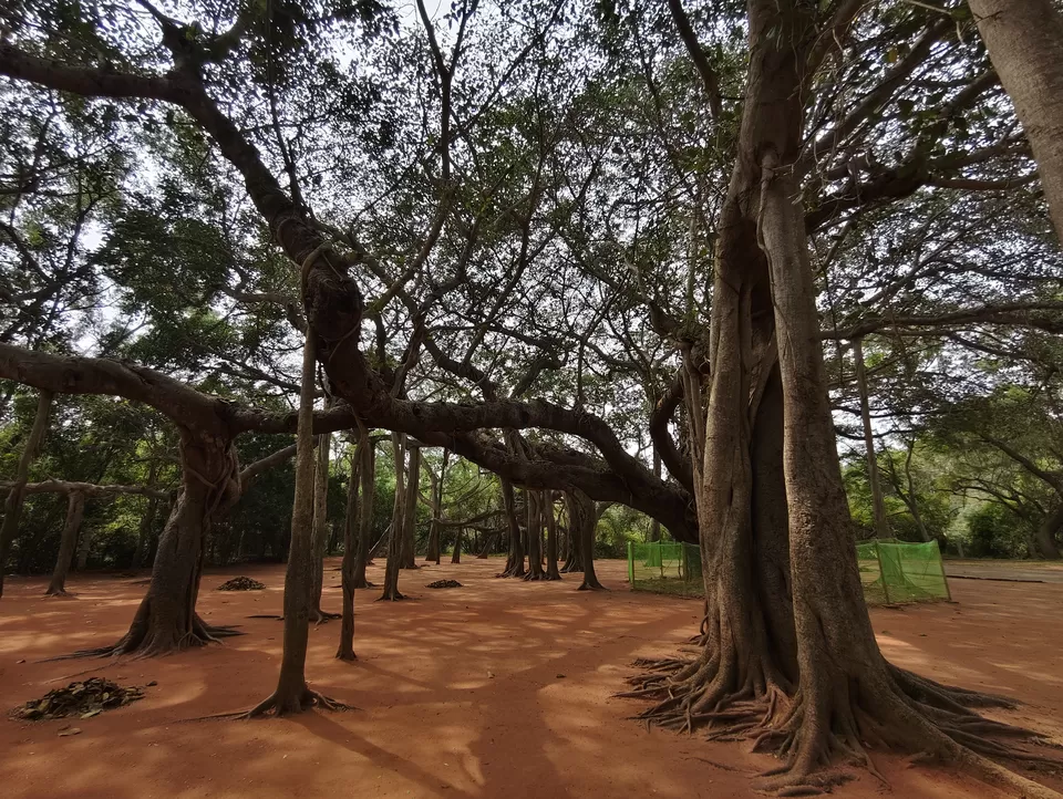 Photo of Tamil Nadu - Land of temples and Pondicherry - India's Little France by abhishek shinde
