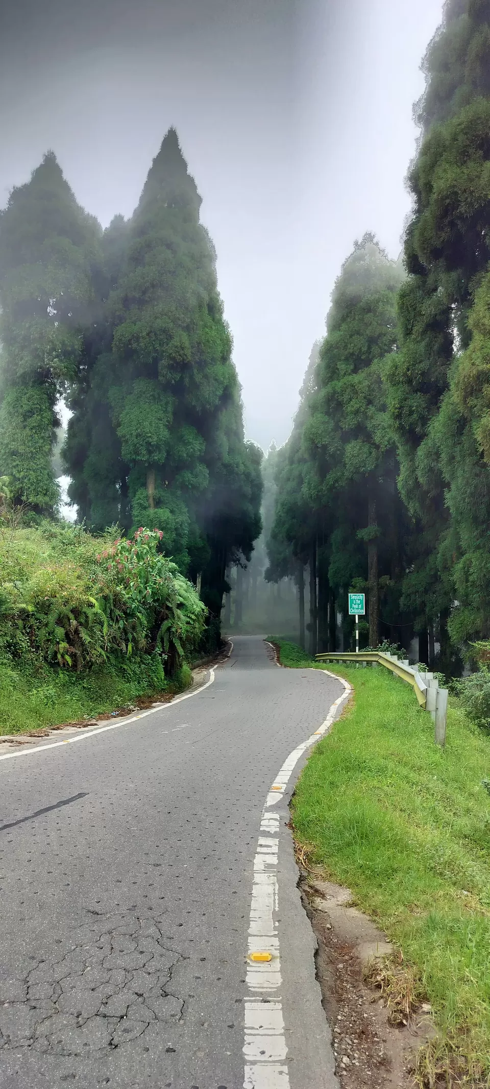 Photo of Exploring Darjeeling The Lazy Way! by Wandering_Wheelz