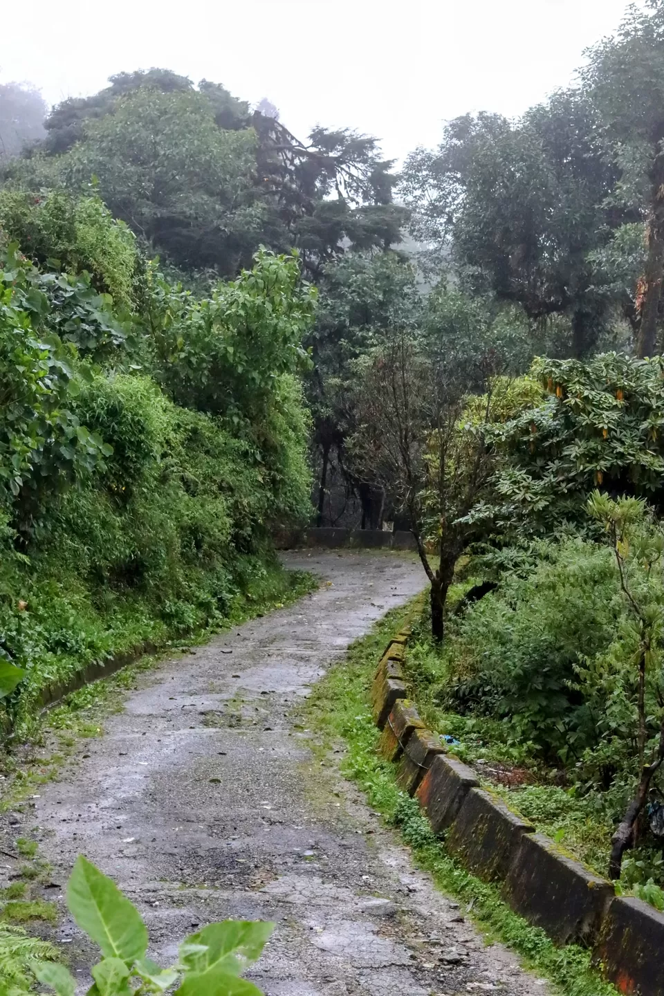 Photo of Exploring Darjeeling The Lazy Way! by Wandering_Wheelz