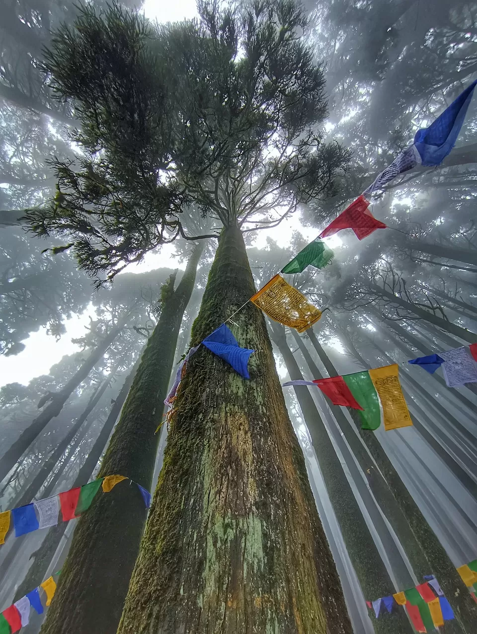 Photo of Exploring Darjeeling The Lazy Way! by Wandering_Wheelz