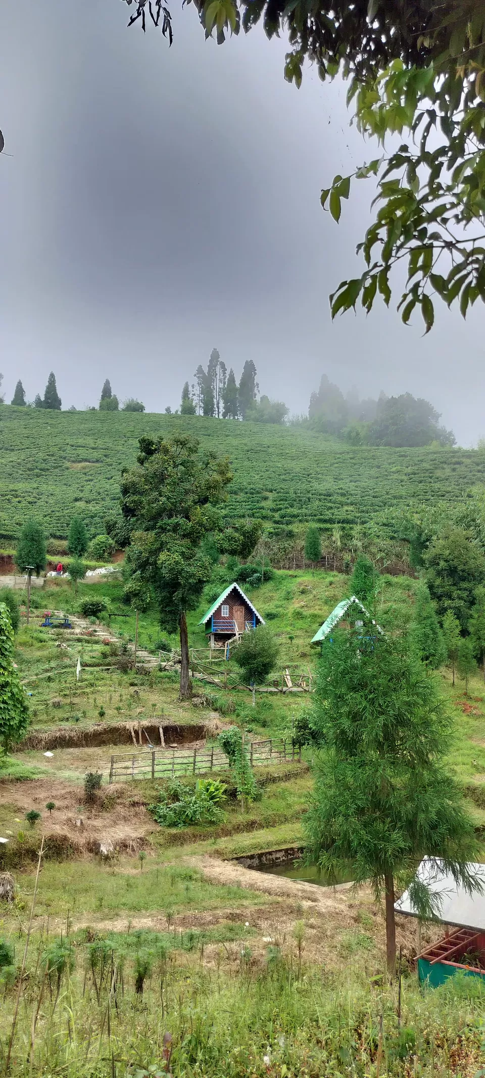 Photo of Exploring Darjeeling The Lazy Way! by Wandering_Wheelz