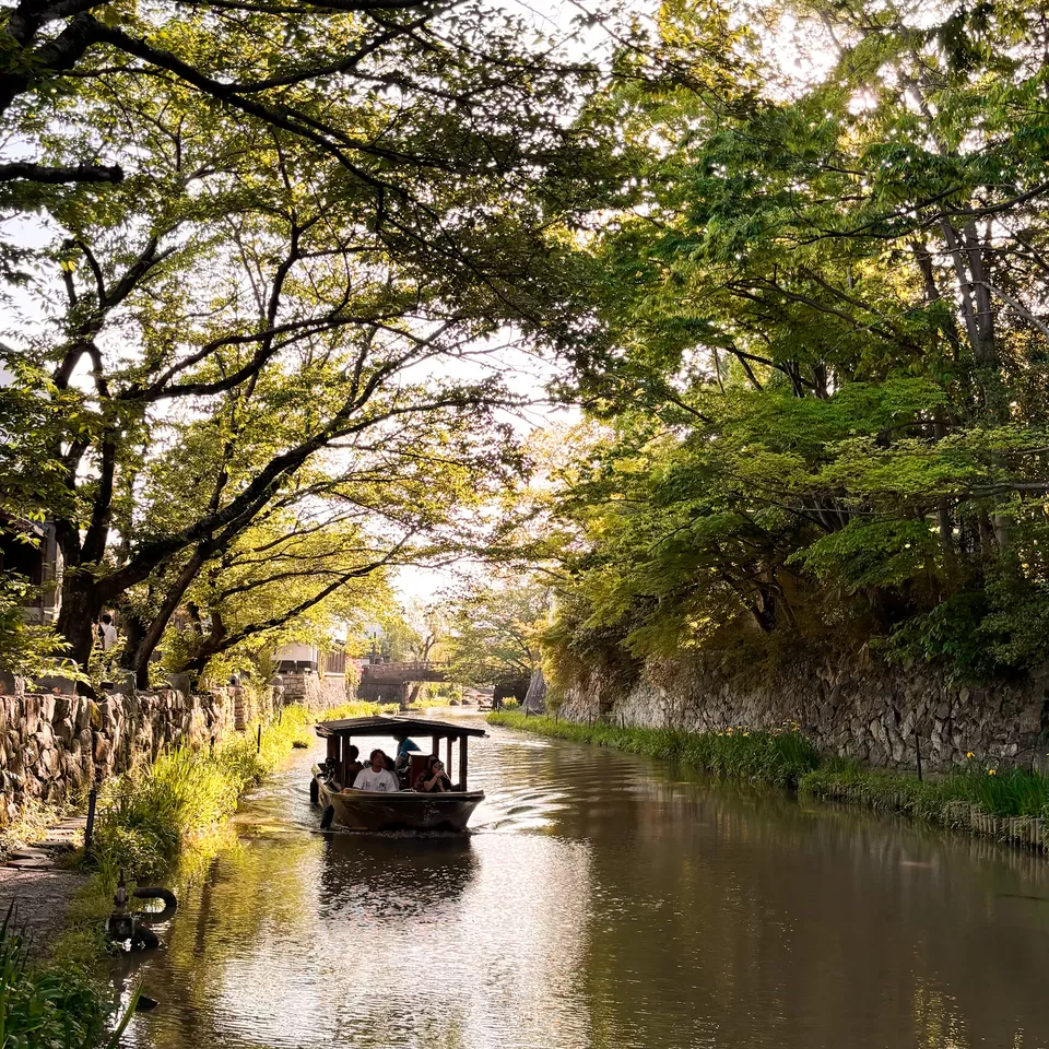 Photo of A Symphony of Tradition and Modernity: My Memoirs of Japan by Karishma Govil