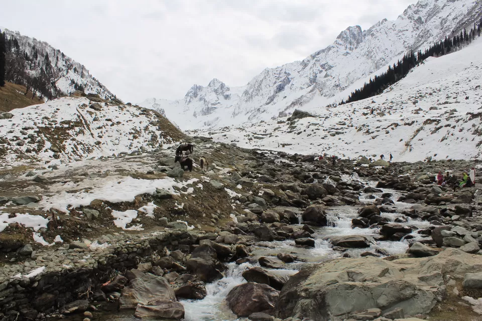 Photo of Sonmarg, Kashmir, Sonamarg by Nikhil Rathi
