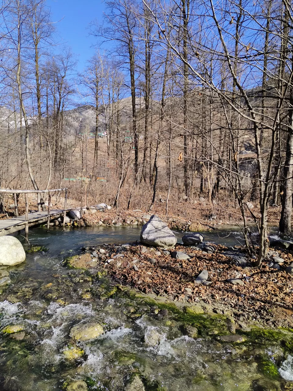 Photo of Manali, Mandi Division by Nikhil Rathi
