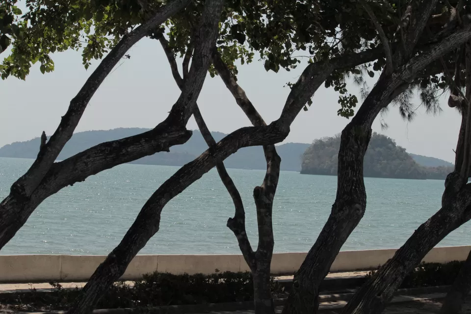 Photo of A Mesmerizing Journey: From the Shores of Krabi to the Islands of Phuket Unveil the Splendor of Thai by Nikhil Rathi