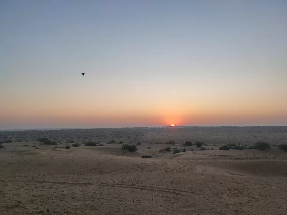 Photo of Sam, Jodhpur Division by Nikhil Rathi