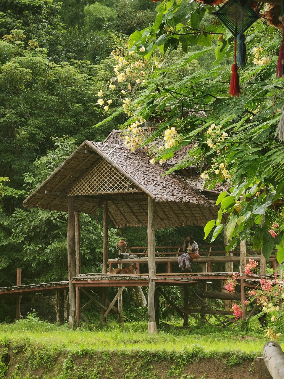 Photo of Pai, Pai District by Soul and Fuel