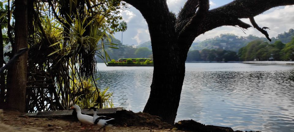 Photo of Kandy - the sacred city of Sri Lanka by Bhumika Mehta