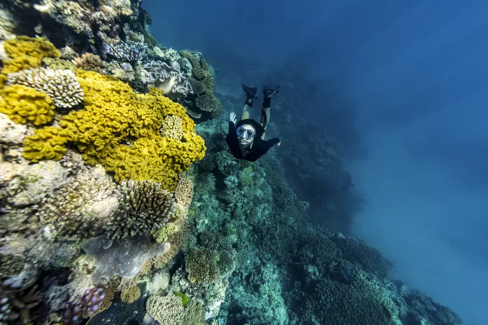 Photo of Great Barrier Reef, Australia by Namrata Das Adhikary 