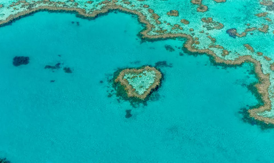 Photo of Whitsunday Island, Whitsundays by Namrata Das Adhikary 