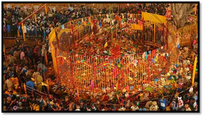 Photo of एशिया का सबसे बड़ा जनजातीय उत्सव ‘मेदारम जतारा’ धूमधाम के साथ शुरू by Hitendra Gupta
