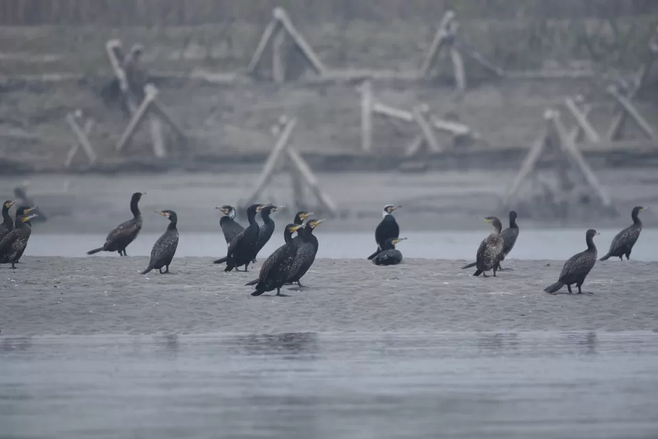 Photo of रामसर स्थलों की संख्या बढ़ने से बिहार में पर्यटन को लग सकते हैं पंख by Hitendra Gupta