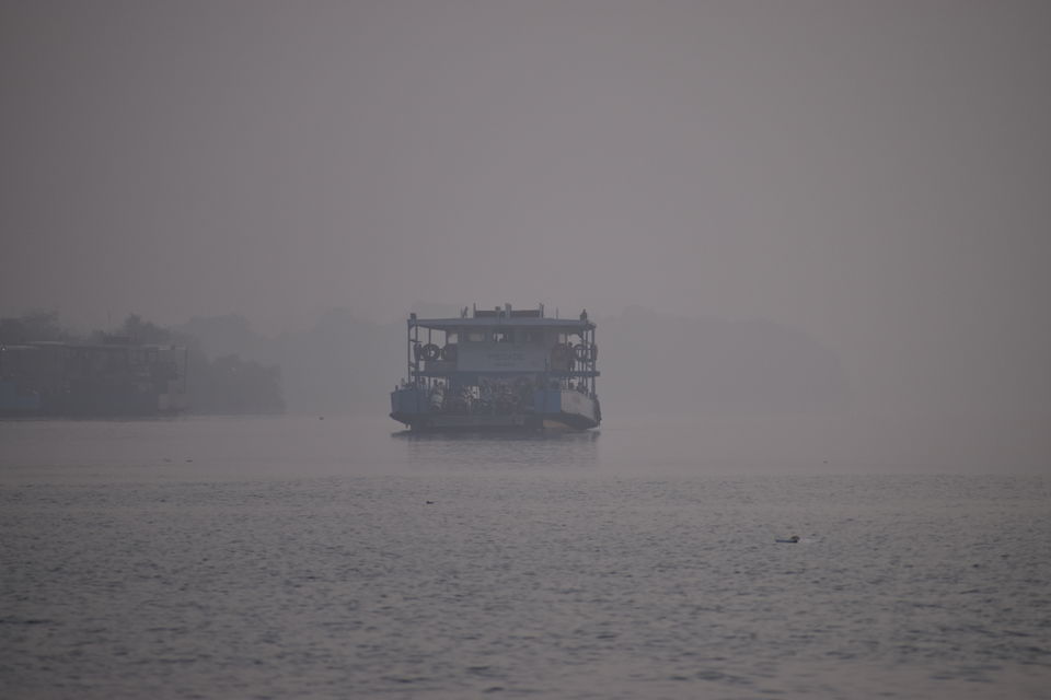 Photo of Mangrove wonderland hidden at heart of Goa by Sautrip Paul