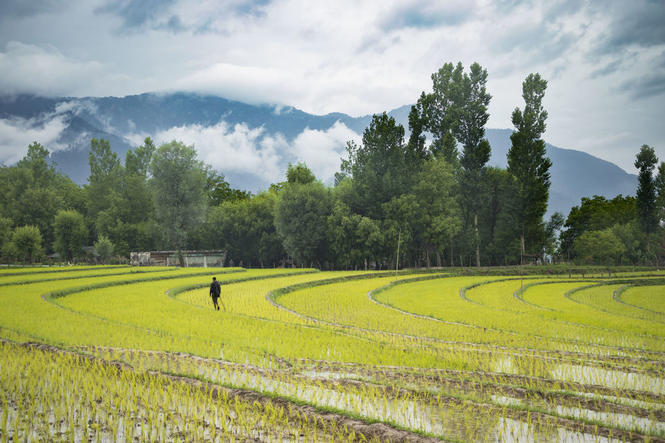 Photo of Kashmir – What makes it our most favorite destination? by Beyond Sunrises and Sunsets