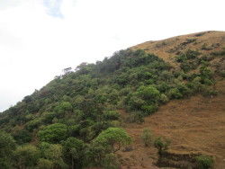 Photo of Kudajadri Kannur By Appu