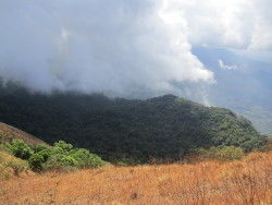 Photo of Kudajadri Kannur By Appu