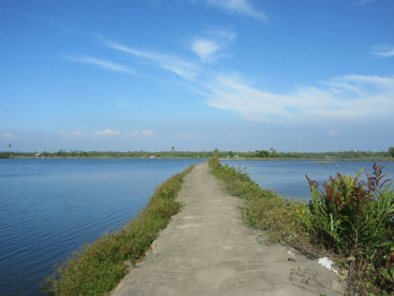 Photo of Kadamakkudy By Appu