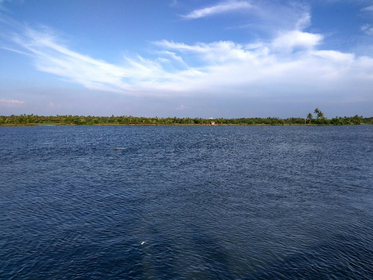 Photo of Kadamakkudy By Appu