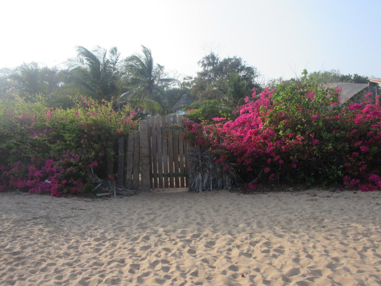 Photo of Auroville Pondichery By Appu