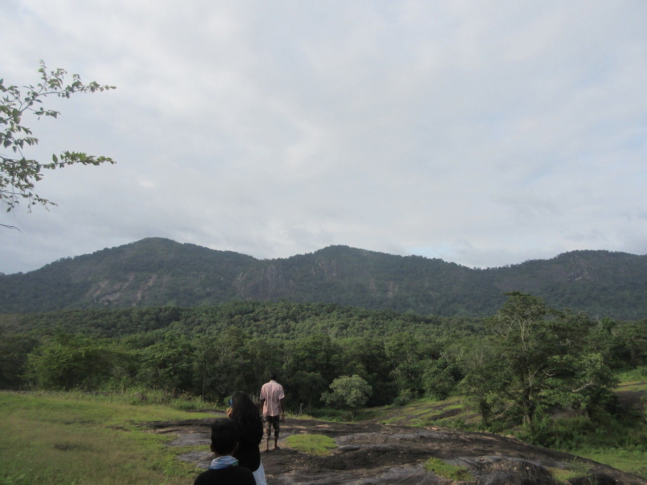 Photo of Parambikulam By Appu