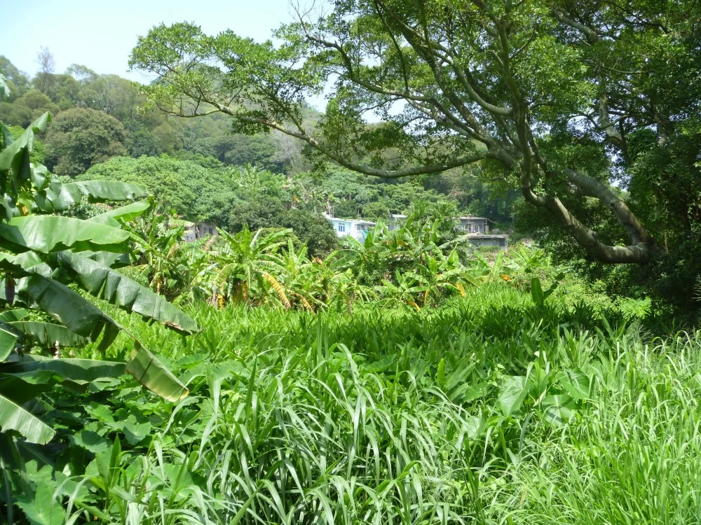 Photo of Lamma Island, Hong Kong
