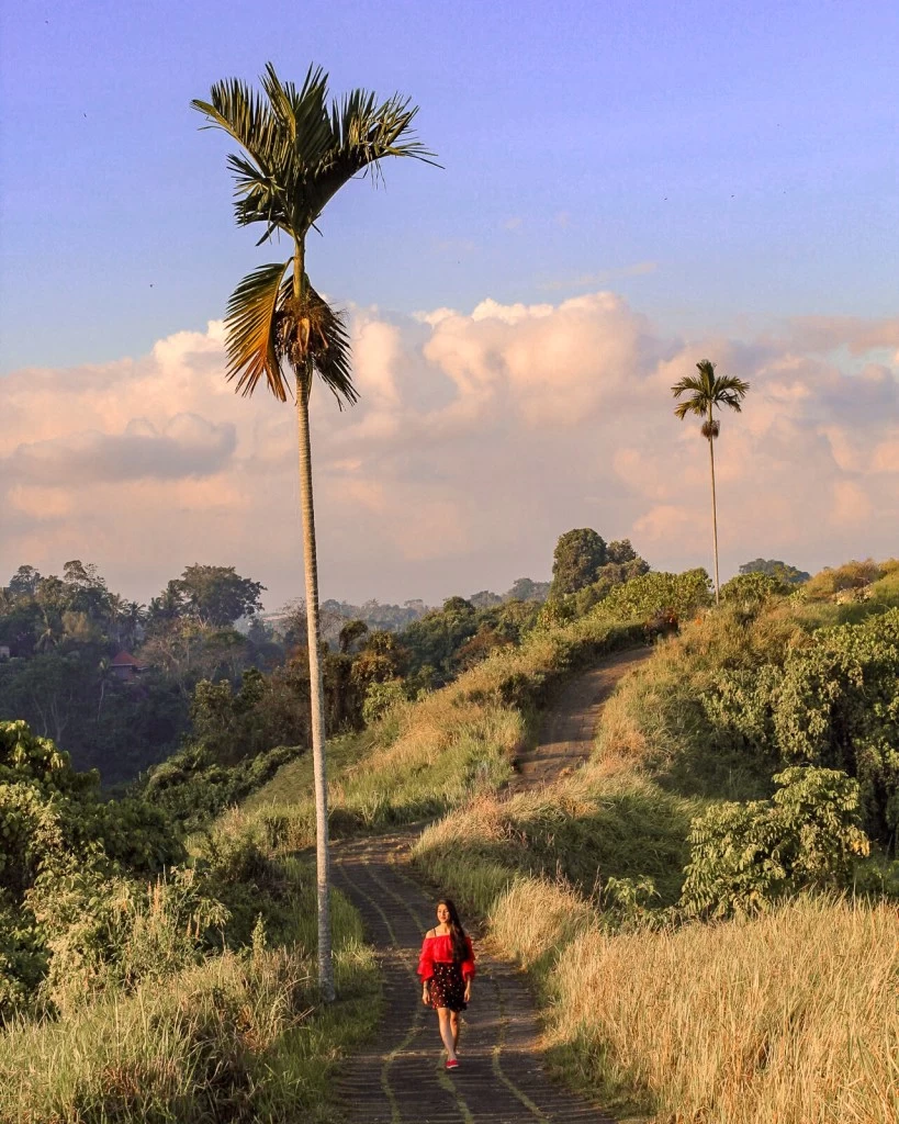 Photo of Campuhan Ridge Walk, Bali