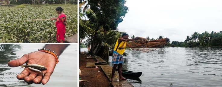 Photo of kuttanad, Kerala