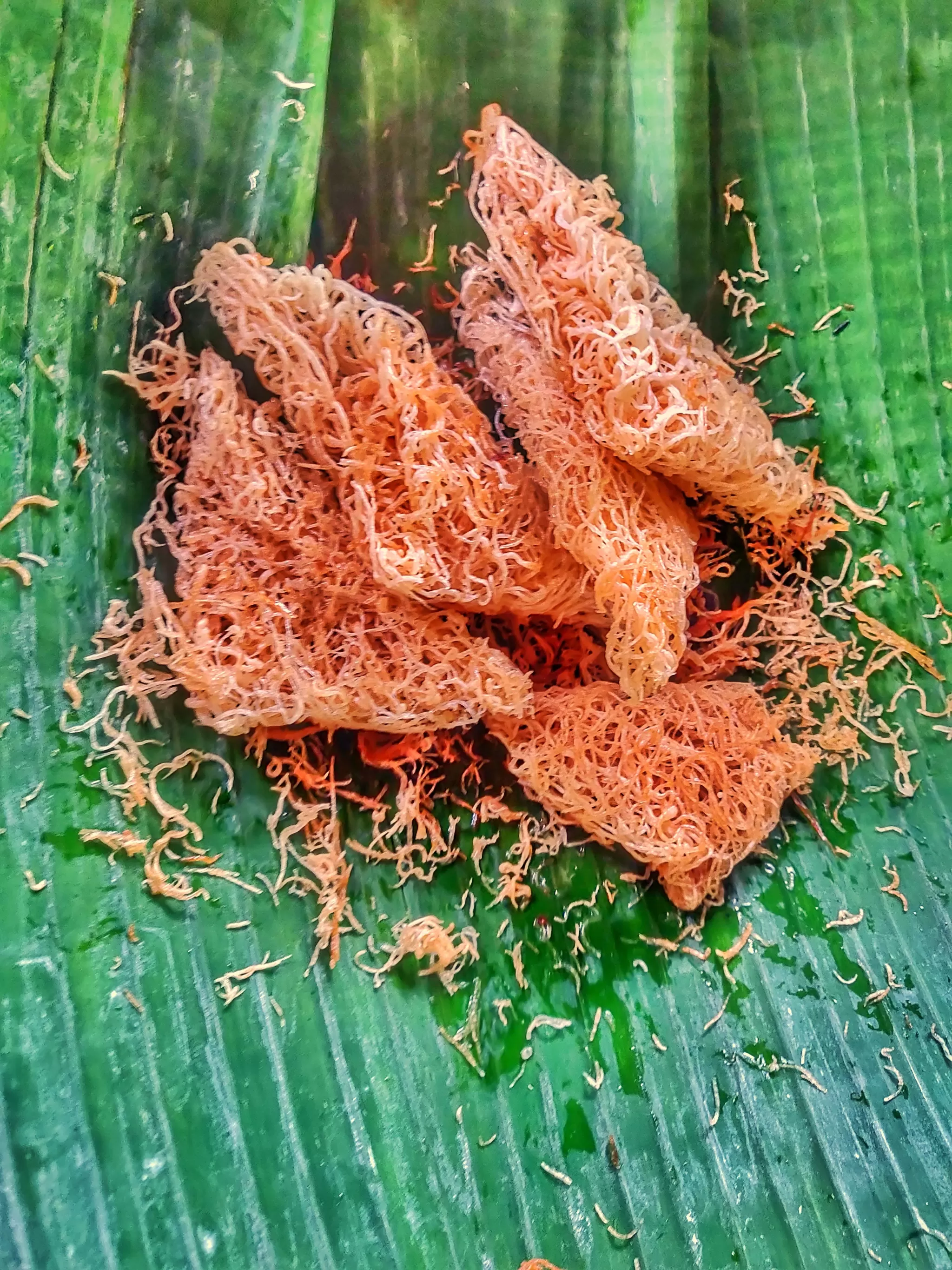 Photo of Mari Mari Cultural Village, Malaysia