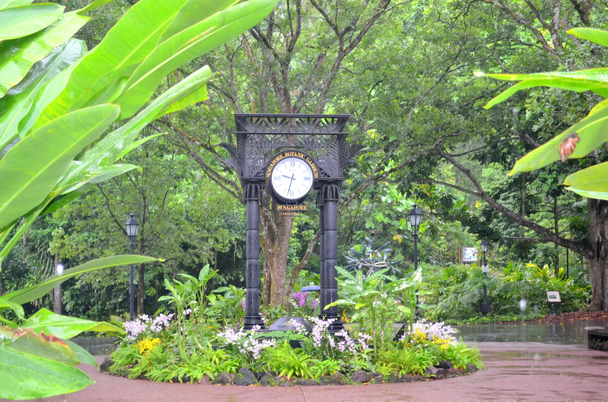 Photo of Singapore Botanic Gardens, Singapore