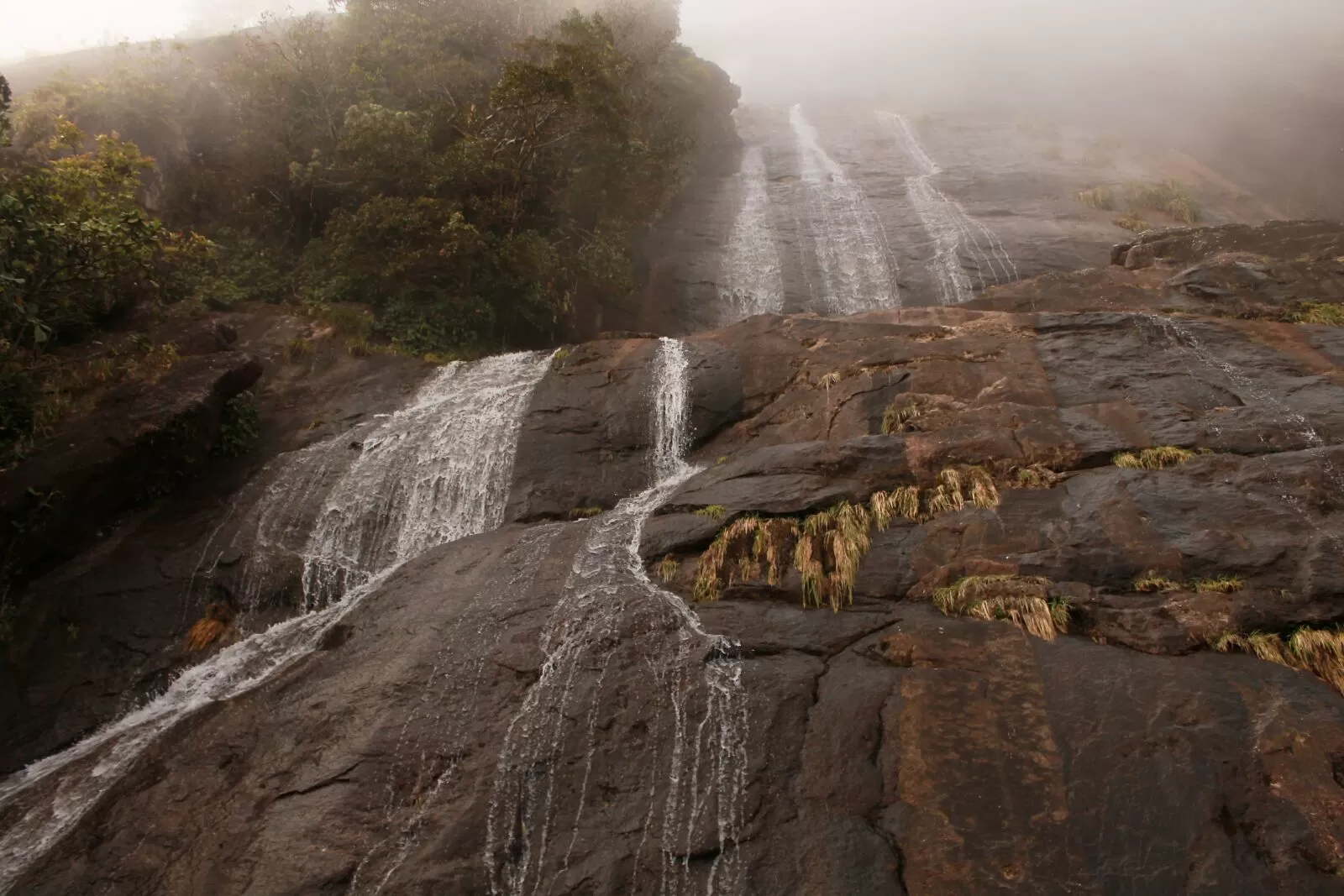 Photo of Eravikulam National Park, Munnar