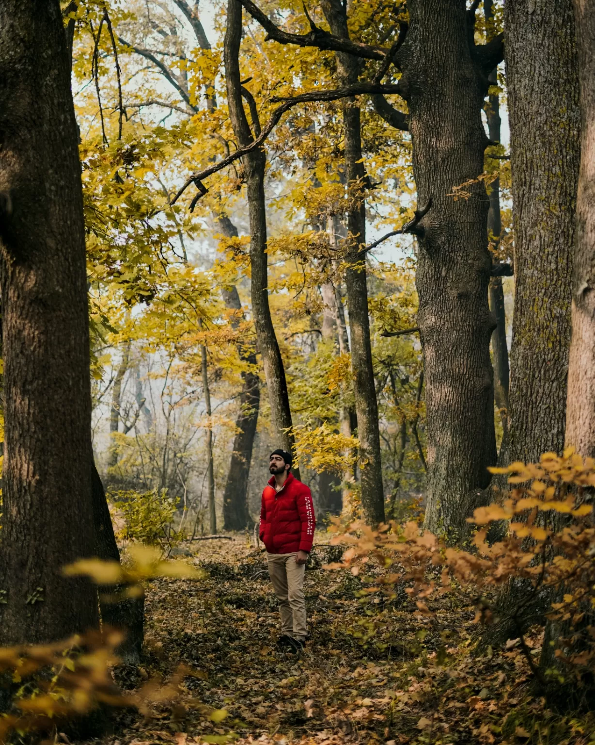 Photo of Dachigam National Park, jammu and kashmir